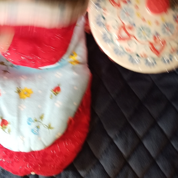 Pioneer Woman Mini Mitts and Casserole w lid - Picture 5 of 6